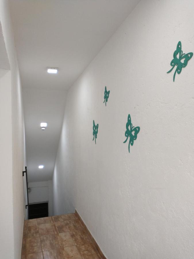 Apartamento Departamentos Pachamama